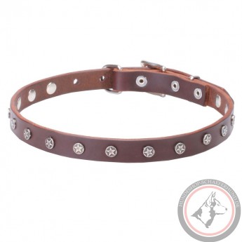 Dog Collar Made of Leather with Nickel Decorations