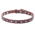 German Shepherd Collar, Narrow Leather, Chrome Stars