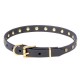 Dog Collar Made of Leather with Brass Decorations