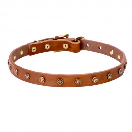 Dog Collar Made of Leather with Brass Decorations