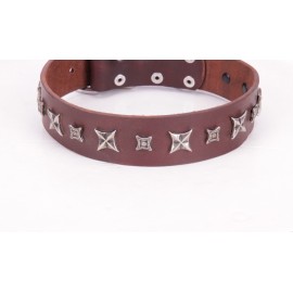 German Shepherd Collar  Bronze Brown Leather