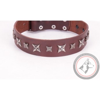 German Shepherd Collar  Bronze Brown Leather