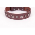 German Shepherd Collar  Silver Brown Leather