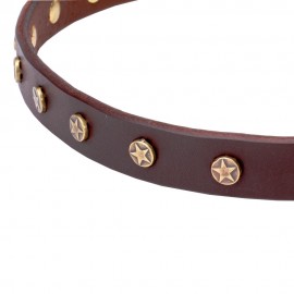 Dog Collar Made of Leather with Brass Decorations