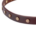 German Shepherd Collar, Narrow Leather, Brass Stars