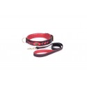 High quality and functional set of leather for German Shepherd dog