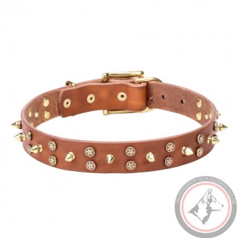 Leather Dog Collar with Brass Spikes