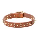 German Shepherd Collar Leather, Stars & Spikes of Brass