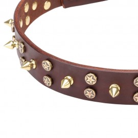 Leather Dog Collar with Brass Spikes