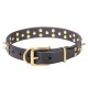 Leather Dog Collar with Brass Spikes