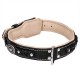 Chic designer leather collar with lichen and paddingfor German Shepherd