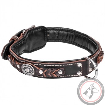 Chic designer leather collar with lichen and paddingfor German Shepherd