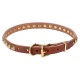 Leather Dog Collar with 1 Row Brass Studs