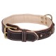 Fashionable leather collar with lichen and jewelry for German Shepherd