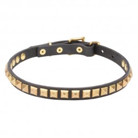 Leather Dog Collar with 1 Row Brass Studs