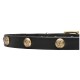 Leather Dog Collar with 1 Row Brass Studs