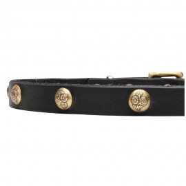 Leather Dog Collar with 1 Row Brass Studs