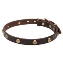 German Shepherd Puppy Collar, Leather, Stamped Studs