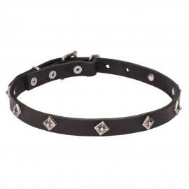 Leather Dog Collar with a Rows of Silver-like Pyramids