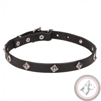 Leather Dog Collar with a Rows of Silver-like Pyramids