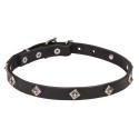 GSD Puppy Collar, Narrow Leather, Chrome-Plated Stars