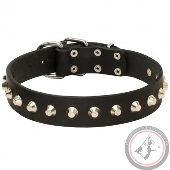 Studded Leather Dog Collar with Nickel Pyramids