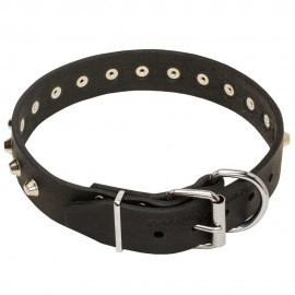 Studded Leather Dog Collar with Nickel Pyramids