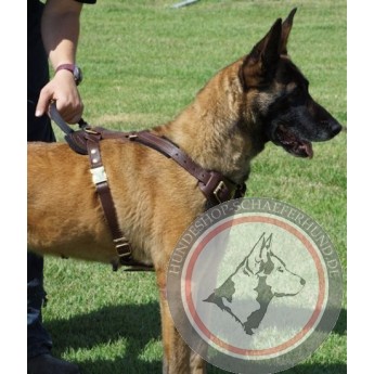 Brown Leather Harness for German Shepherd Training with 20% off