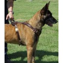Brown Leather Harness for German Shepherd Training with 20% off
