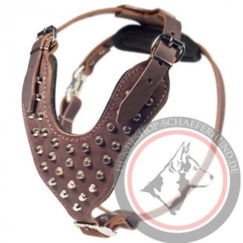 Brown LeatherGerman Shepherd Harness, Nickel Cones