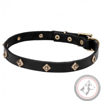 Leather Dog Collar with Brass Pyramids