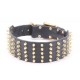 Wide Leather Collar with Gold-like Spikes