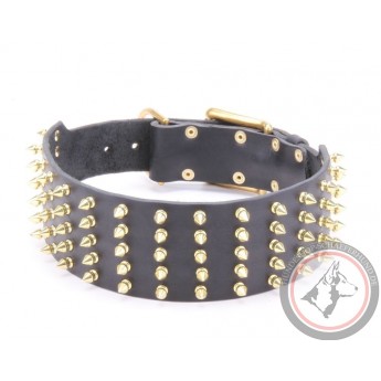 Wide Leather Collar with Gold-like Spikes