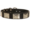 German Shepherd Collar, Large Nickel Plates, Leather