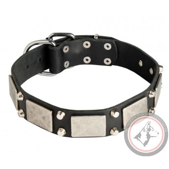 Leather Dog Collar with Nickel Decor