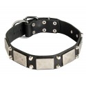 German Shepherd Collar, Nickel Cones & Plates, Leather