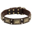 GSD Collar, Brass Plates, Nickel Cones, Quality Leather