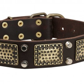 Dog Leather Collar with Vintage Brass Plates and Nickel Studs