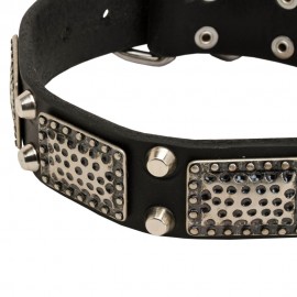 Decorated Leather Dog Collar with Brass Plates and Nickel Pyramids