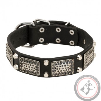 Decorated Leather Dog Collar with Brass Plates and Nickel Pyramids