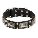 GSD Collar, Brass Plates, Nickel Cones, Quality Leather