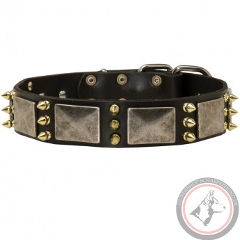 Spiked Dog Collar with NickelMssive Plates