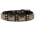 GSD Collar, Nickel Plates and Brass Spikes, Leather