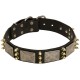 Spiked Dog Collar with NickelMssive Plates