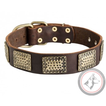 Leather Dog Collar with Vintage Brass Plates