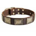 German Shepherd Collar, Curved Brass Plates, Leather