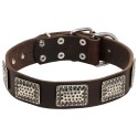 German Shepherd Collar, Leather, Curved Nickel Plates