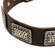 Leather Dog Collar with Massive Nickel Plates