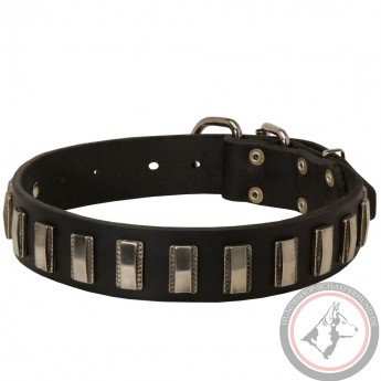 Leather Dog Collar with Nickel Plates