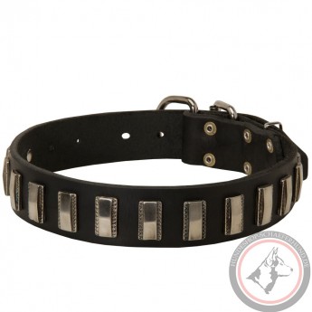 Lederhalsband mit vertikalen Nickel Platten für Schäferhunde